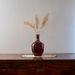 Apartamento House Bruno Drenje (Istria)