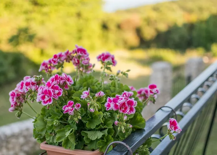 Lejlighed House Bruno Drenje (Istria)