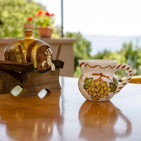 House Bruno Apartment Drenje (Istria)