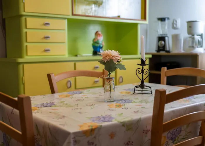 公寓 House Bruno Drenje (Istria)
